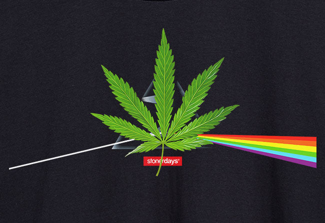 StonerDays men's black hoodie with Dank Side Of The Moon cannabis leaf and rainbow design