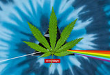 StonerDays men's blue tie-dye tee with cannabis leaf and rainbow design, front view