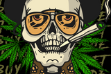 StonerDays Fear & Loathing T-Shirt design featuring a skull with cannabis leaves