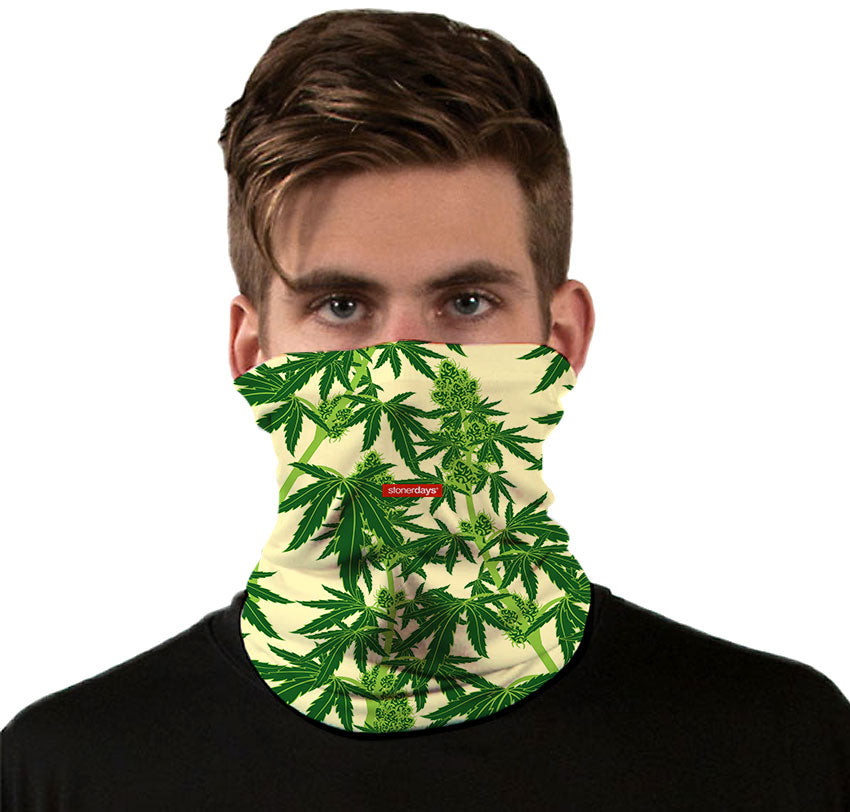 StonerDays Fruits Of Our Labor Face Gaiter with vibrant cannabis leaf print, front view on model