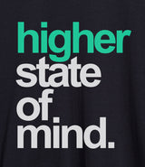 Close-up of StonerDays Hsom Real Deal Teal Hoodie with 'higher state of mind' slogan