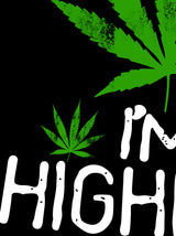StonerDays 'Kush Me I'm Highrish' long sleeve shirt design close-up
