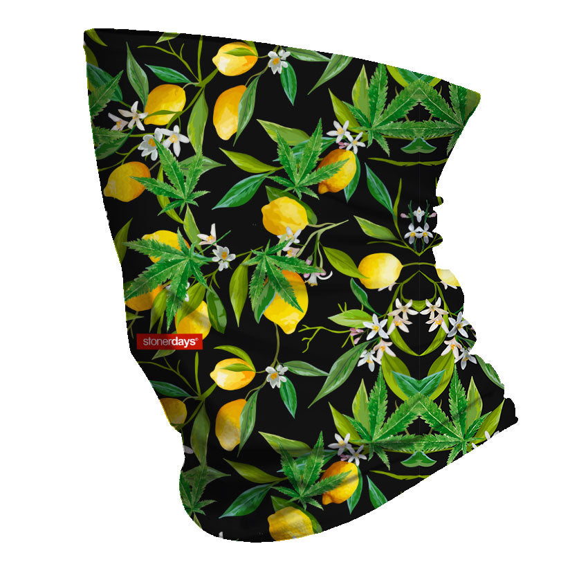 StonerDays Lemon Kush Neck Gaiter featuring cannabis and lemon print on black polyester