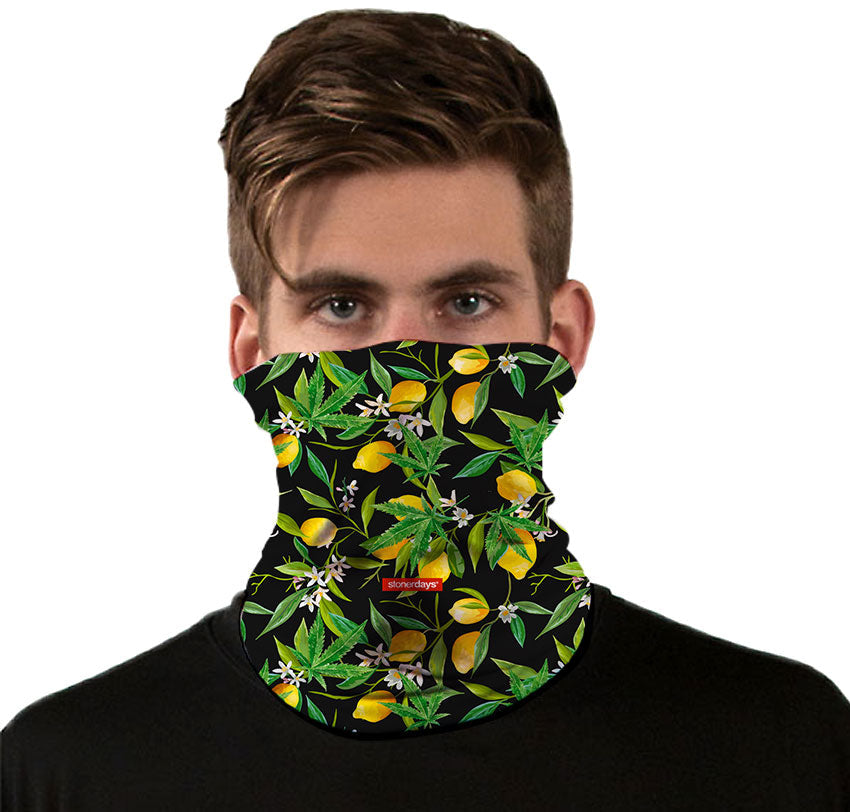 StonerDays Lemon Kush Neck Gaiter featuring vibrant cannabis and lemon print, front view on male model