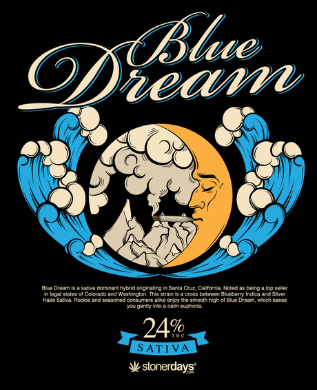 StonerDays Men's Blue Dream Tee in black with graphic design, front view on seamless white
