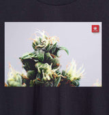 StonerDays Men's Macro Tee with detailed cannabis print, black cotton, front view