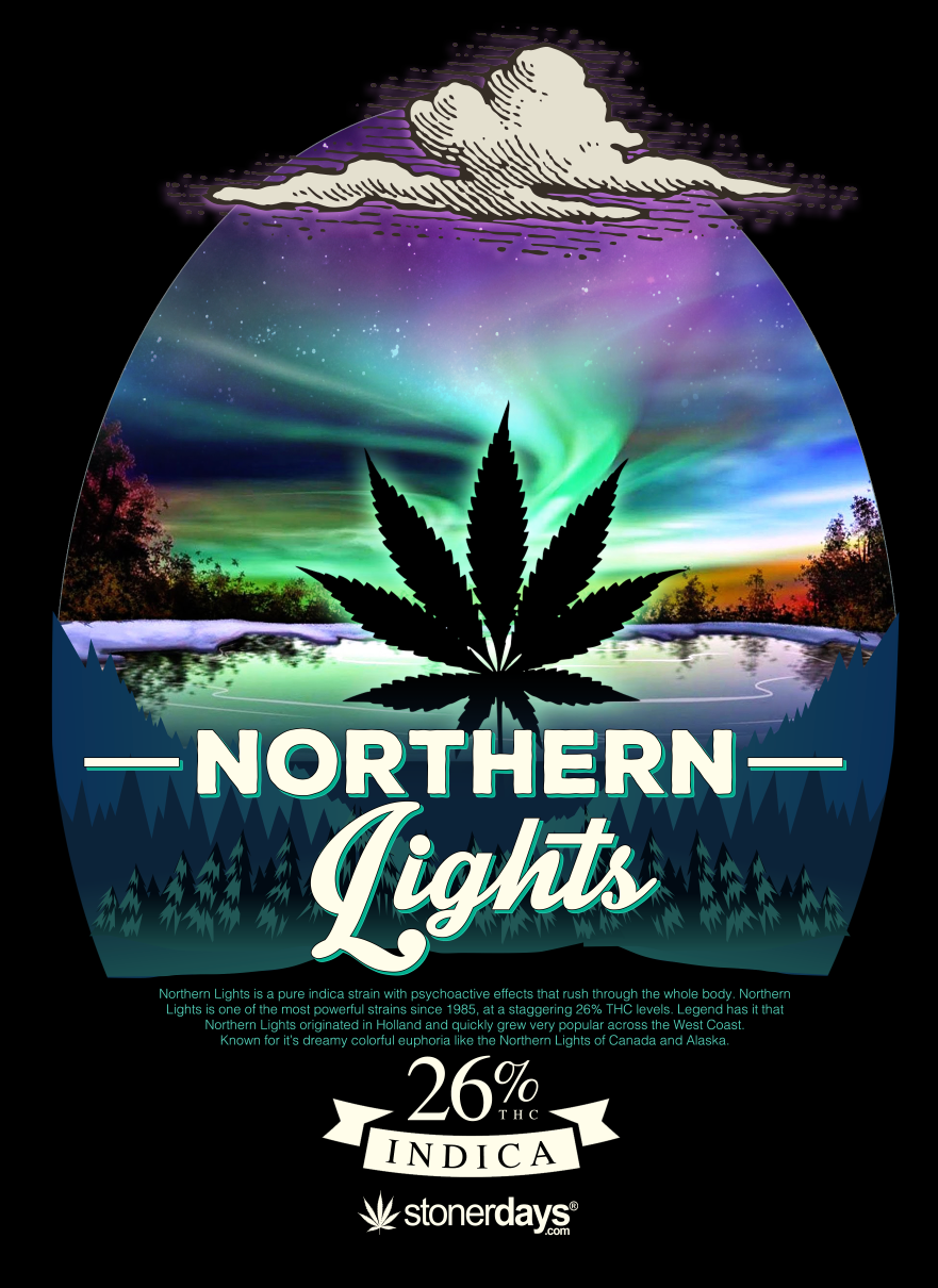 StonerDays Men's Northern Lights Tank Top, Cotton, Vibrant Aurora Print, Front View