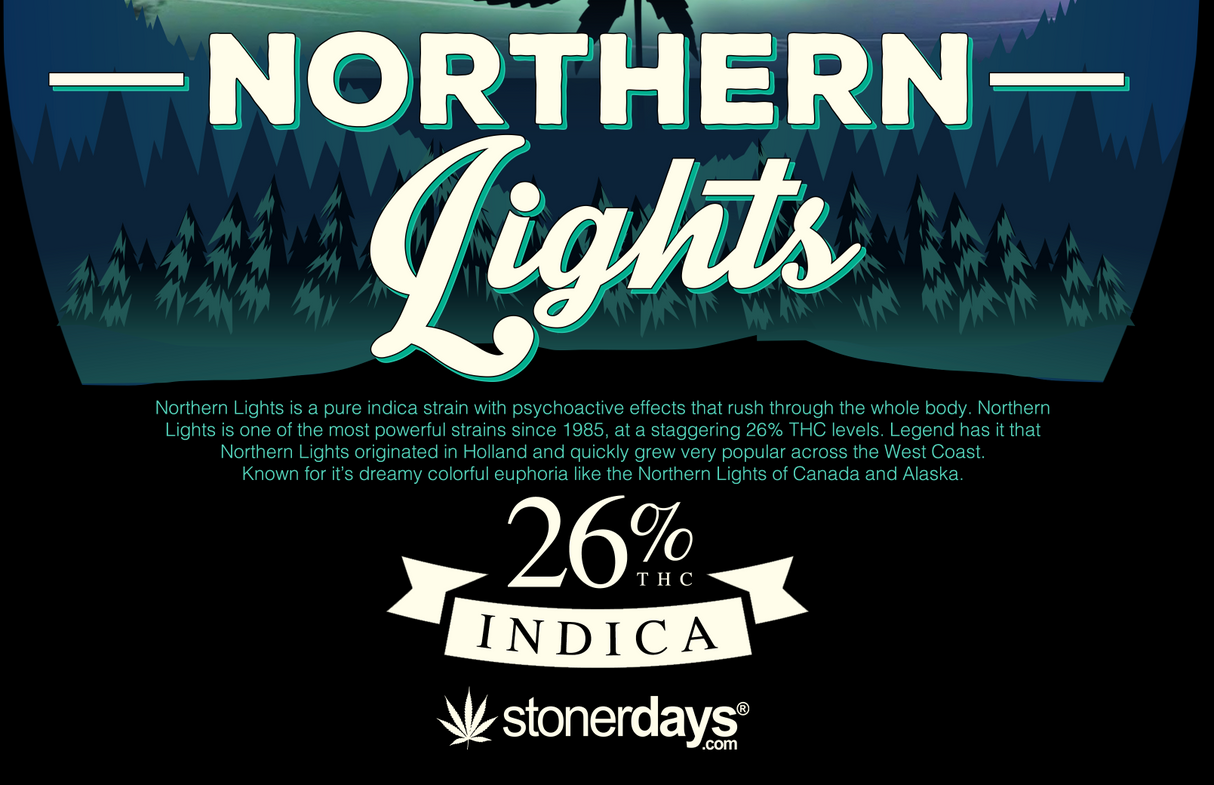 StonerDays Men's Northern Lights Tee with graphic front, size options from S to 3XL