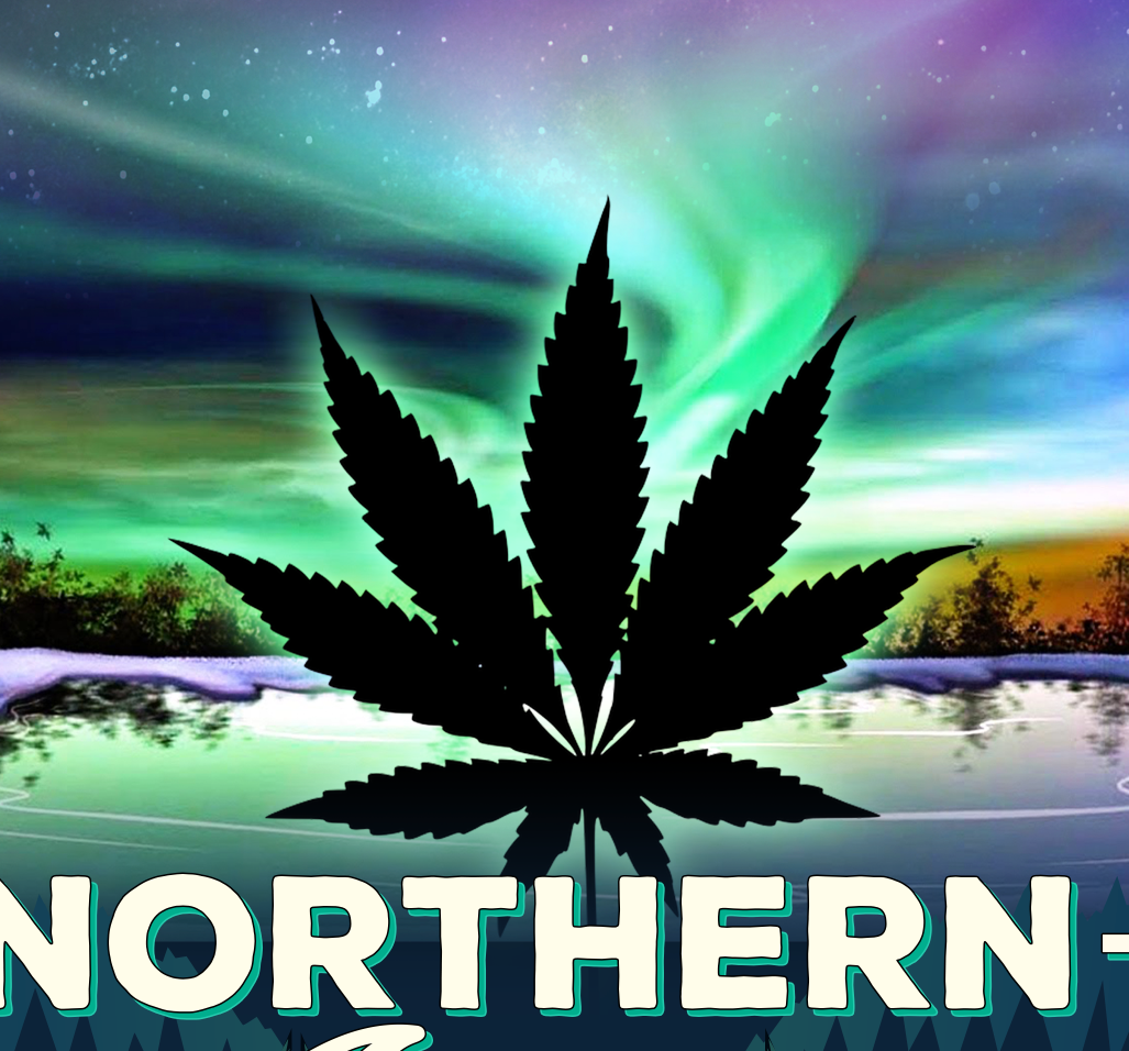 StonerDays Men's Northern Lights Tee featuring vibrant aurora graphic on black cotton, size options available