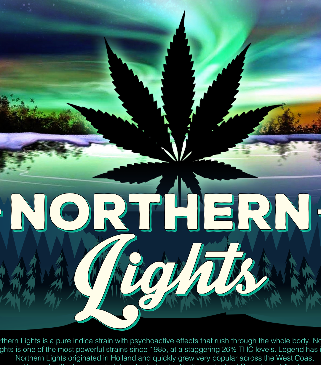 StonerDays Men's Northern Lights Tee with vibrant aurora graphic, front view, size options S-3XL