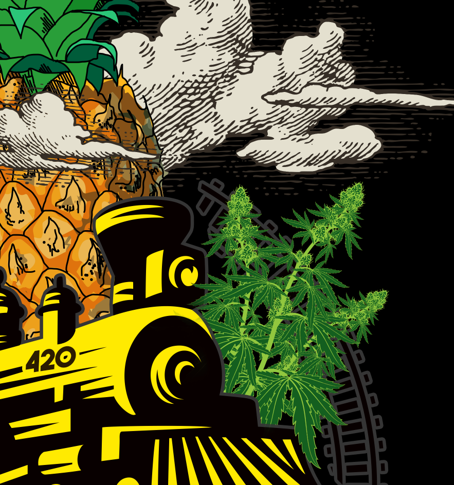 StonerDays Men's Pineapple Express Tee with Cannabis and Train Graphic