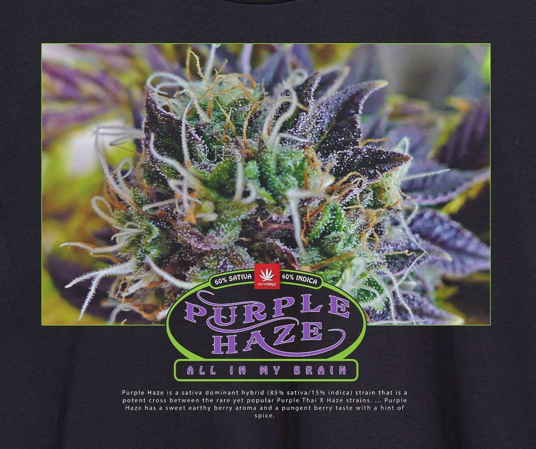 StonerDays Men's Purple Haze Tee in Black - Close-up of Cannabis Graphic