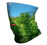 StonerDays Money Grows On Trees Neck Gaiter featuring vibrant cannabis plant print, made of polyester