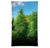 StonerDays Money Grows On Trees Neck Gaiter featuring lush cannabis plant print, front view on white background