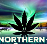 StonerDays Northern Lights Hoodie with vibrant aurora design, cozy cotton blend