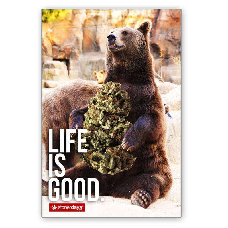 OG MASTER BEAR 24" X 36" POSTERS