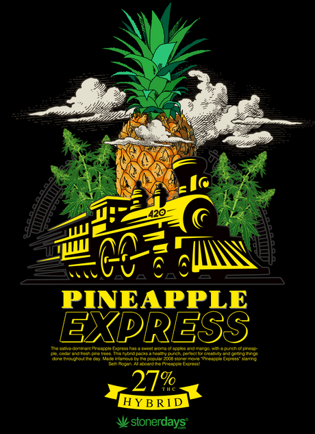 StonerDays Pineapple Express Hoodie with vibrant cannabis and train graphics
