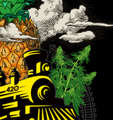 StonerDays Pineapple Express Hoodie featuring vibrant cannabis and train graphics