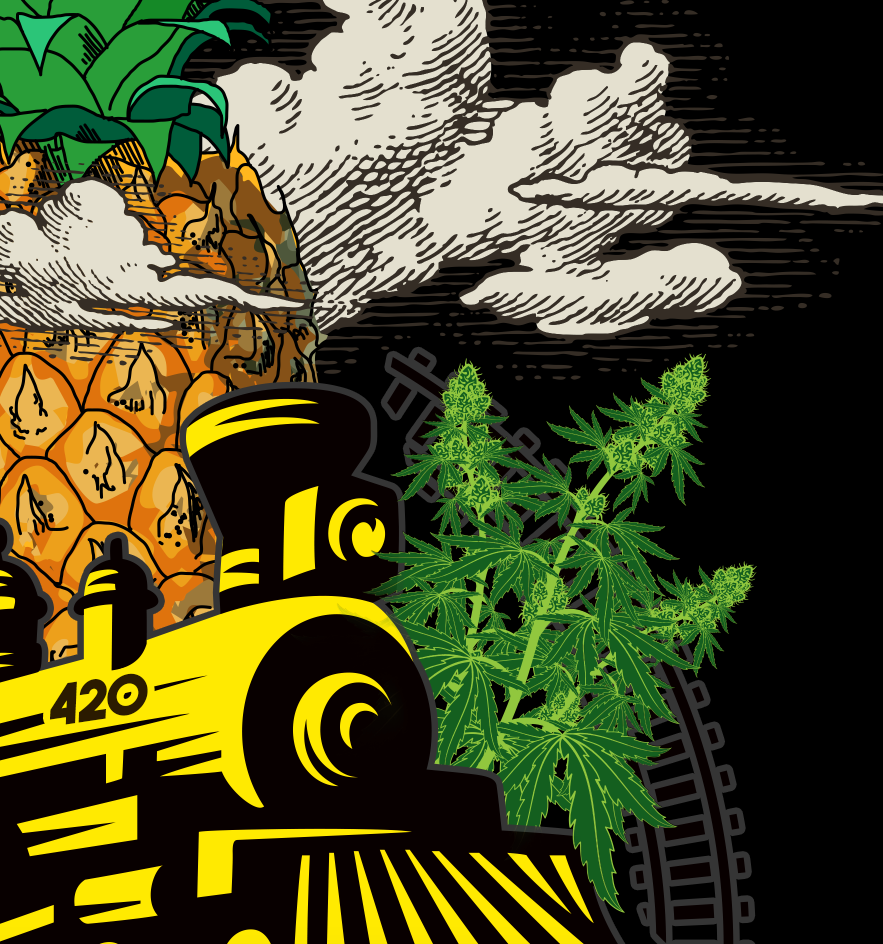 StonerDays Pineapple Express Racerback with vibrant cannabis and train print, soft cotton blend
