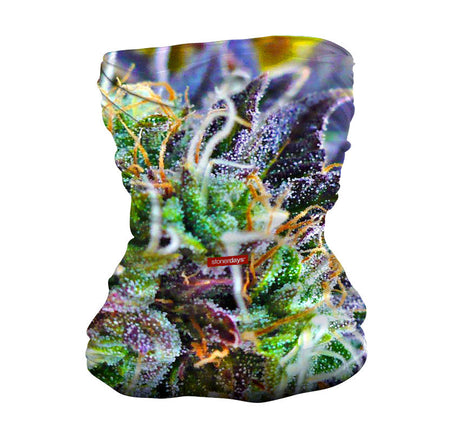 StonerDays Purple Haze Neck Gaiter featuring vibrant cannabis design, made with stretchy polyester, front view.