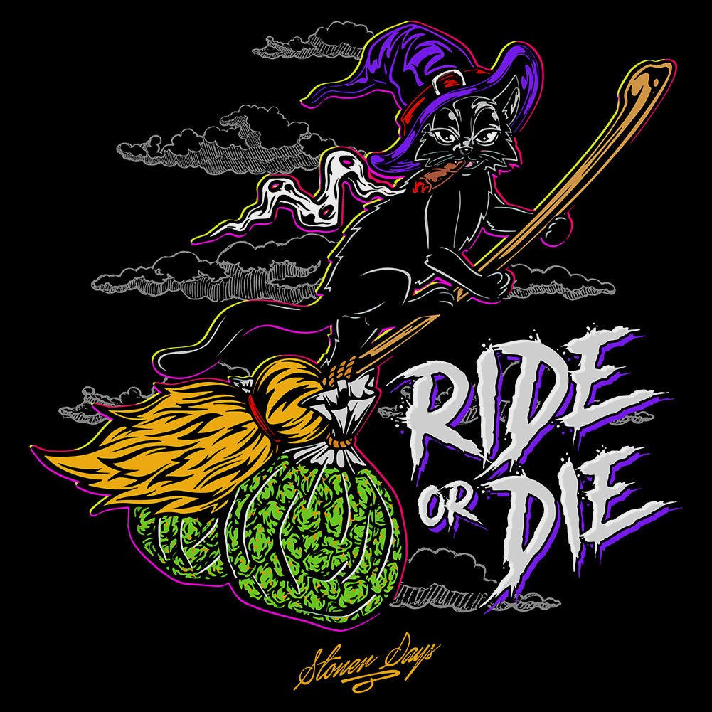 StonerDays Ride Or Die Long Sleeve shirt with vibrant witch and pumpkin graphics