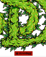 StonerDays Leafy Logo on White Tee, Close-Up of Green Cannabis Design, 100% Cotton