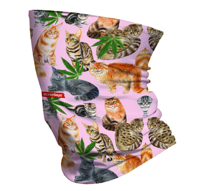 StonerDays Smoke Meowt Kitties Neck Gaiter featuring colorful cat prints and cannabis leaves on a pink background