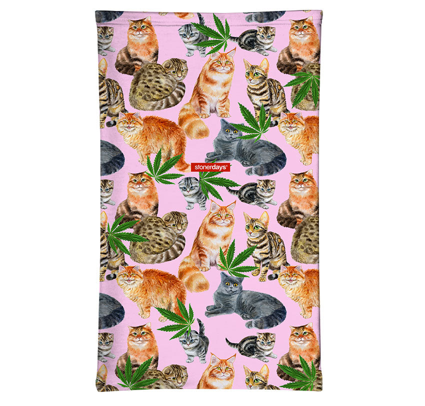 StonerDays Smoke Meowt Kitties Neck Gaiter featuring playful cats and cannabis leaves on pink background
