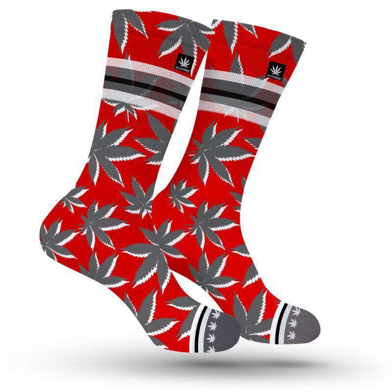 TAMPA BAY MARIJUANA SOCKS