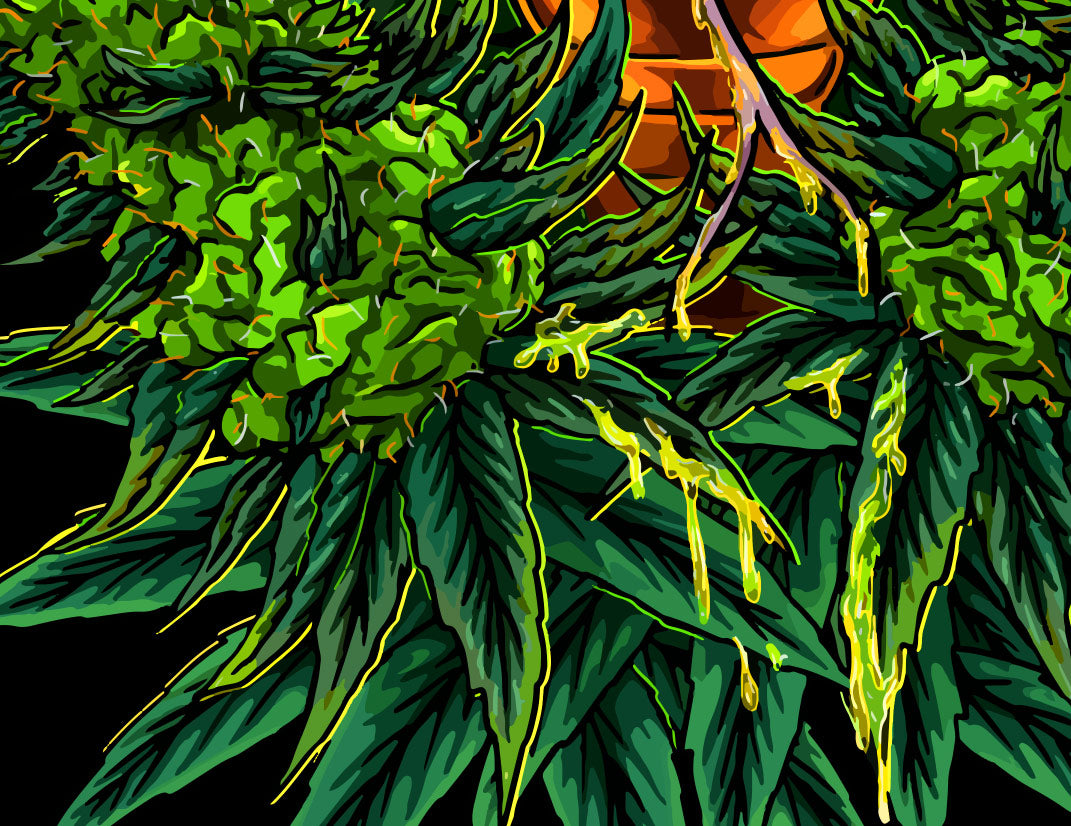 StonerDays Venom Og T-Shirt featuring vibrant green cannabis leaf design on black background