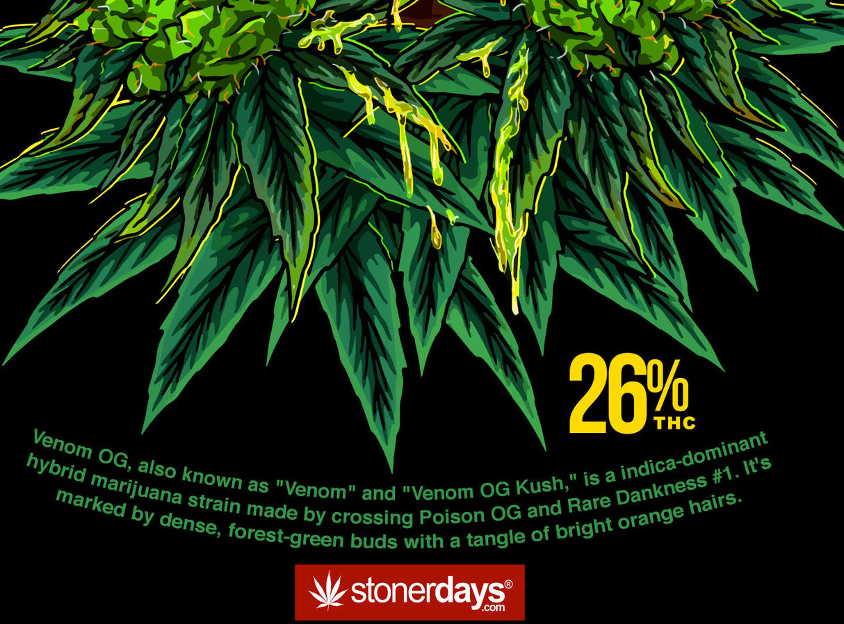 StonerDays Venom OG graphic on black background, highlighting 26% THC content