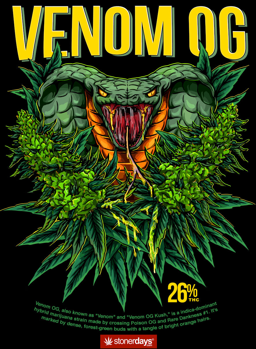 StonerDays Venom Og Hoodie with vibrant cannabis and snake graphic design, available in multiple sizes