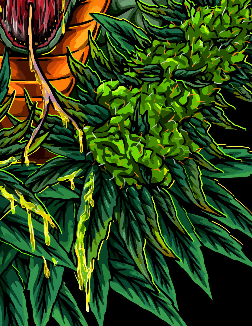 StonerDays Venom Og Long Sleeve Shirt with vibrant green cannabis leaf design, made in USA