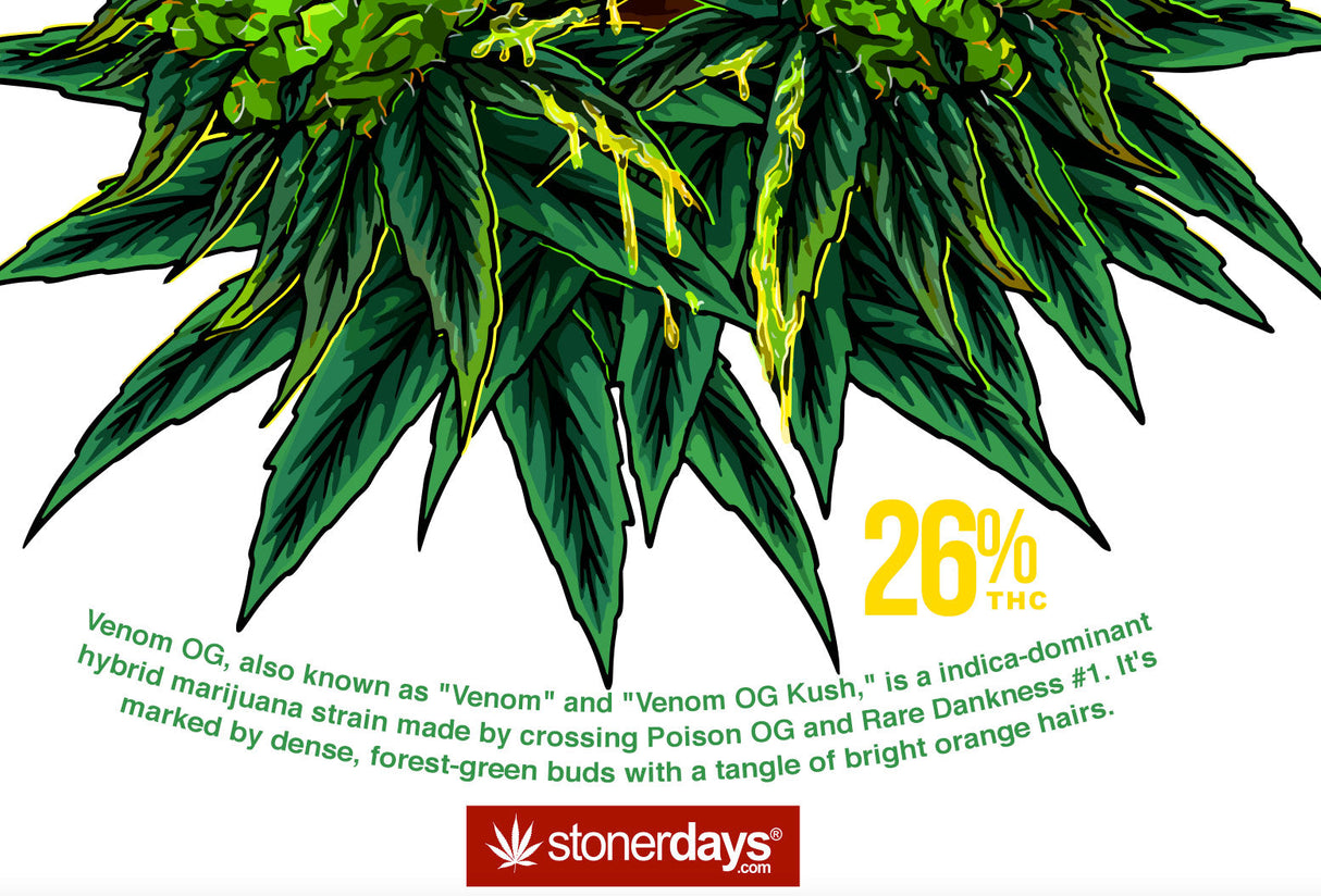 StonerDays Venom Og White Tee featuring vibrant cannabis leaf design with THC potency label