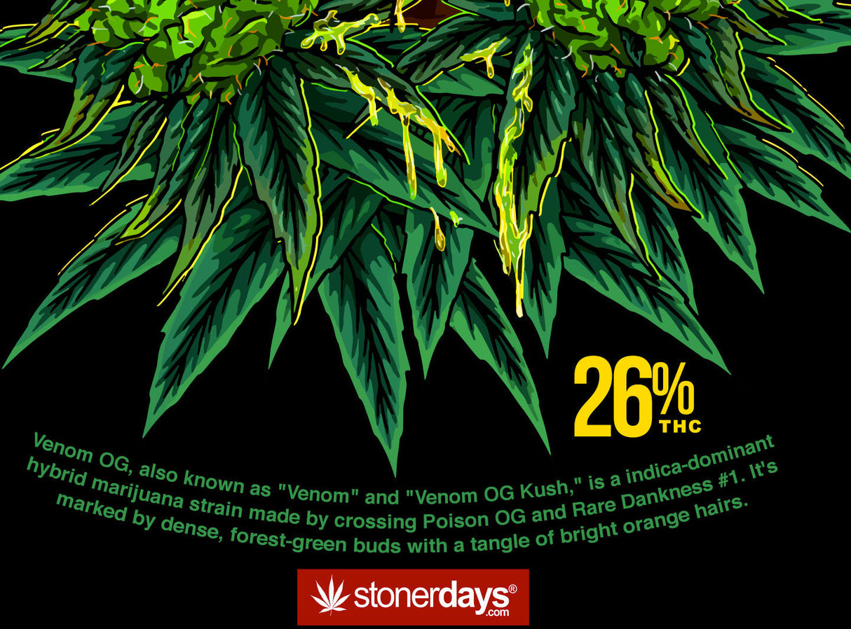 StonerDays Venom OG graphic with cannabis leaves and THC percentage on black background