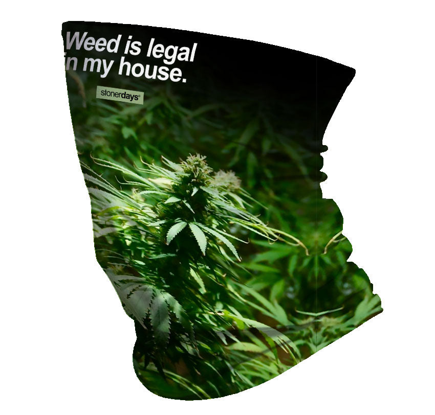 StonerDays Neck Gaiter featuring a cannabis plant design with 'Weed is legal in my house' text