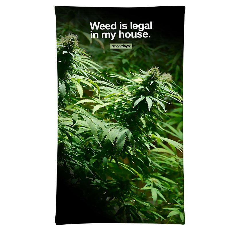 StonerDays 'Weed Is Legal In My House' Neck Gaiter featuring vibrant cannabis plant imagery