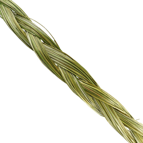 24" Sweet Grass Braid for Home Decor, Natural Incense, Close-up View on White Background