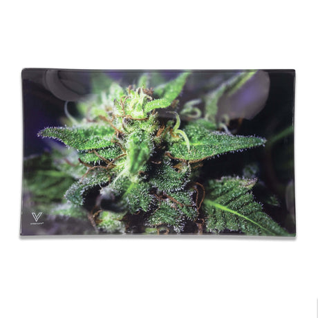 V Syndicate Blue Dream Glass Rollin' Tray Medium with vibrant green and purple hues