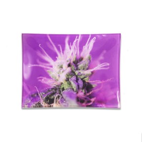 V Syndicate Pink Lemonade Glass Rollin' Tray with vibrant cannabis design - top view