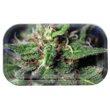 V Syndicate Blue Dream Metal Rollin' Tray with vibrant cannabis design, compact and portable