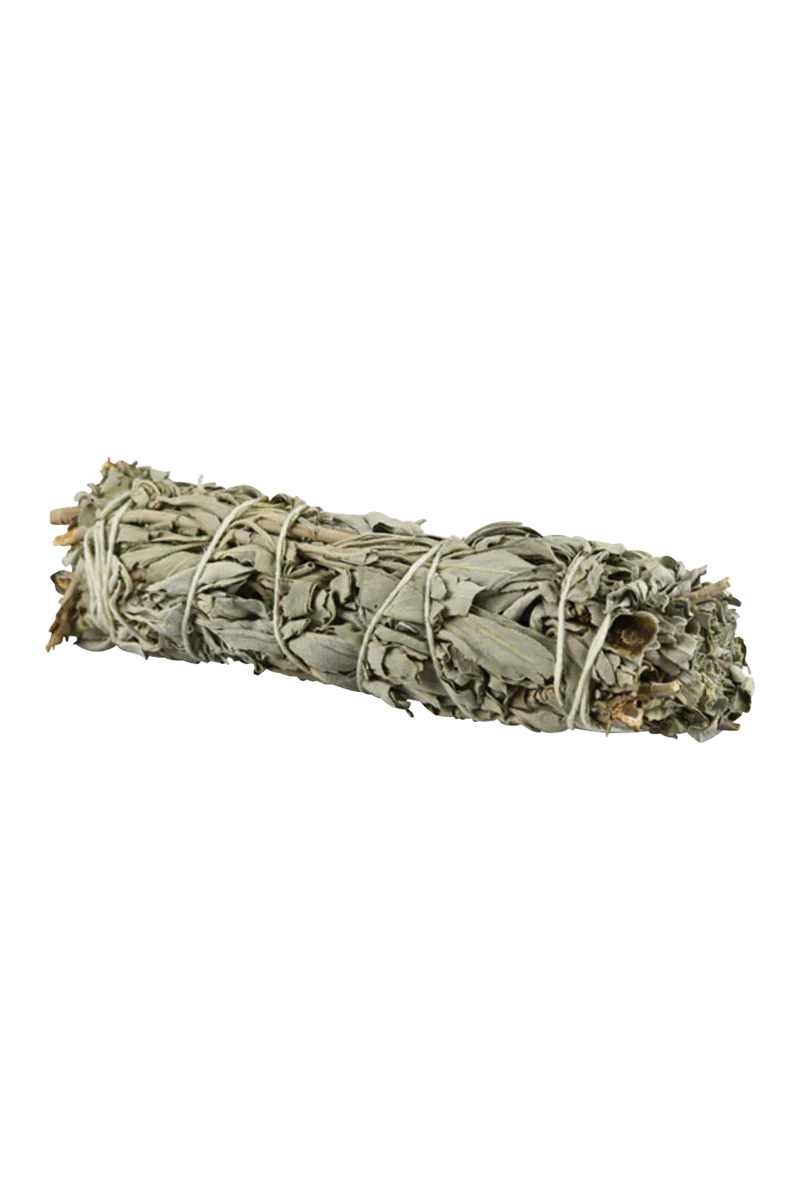 7" White Sage Incense Bundle for Aromatherapy - Front View on White Background