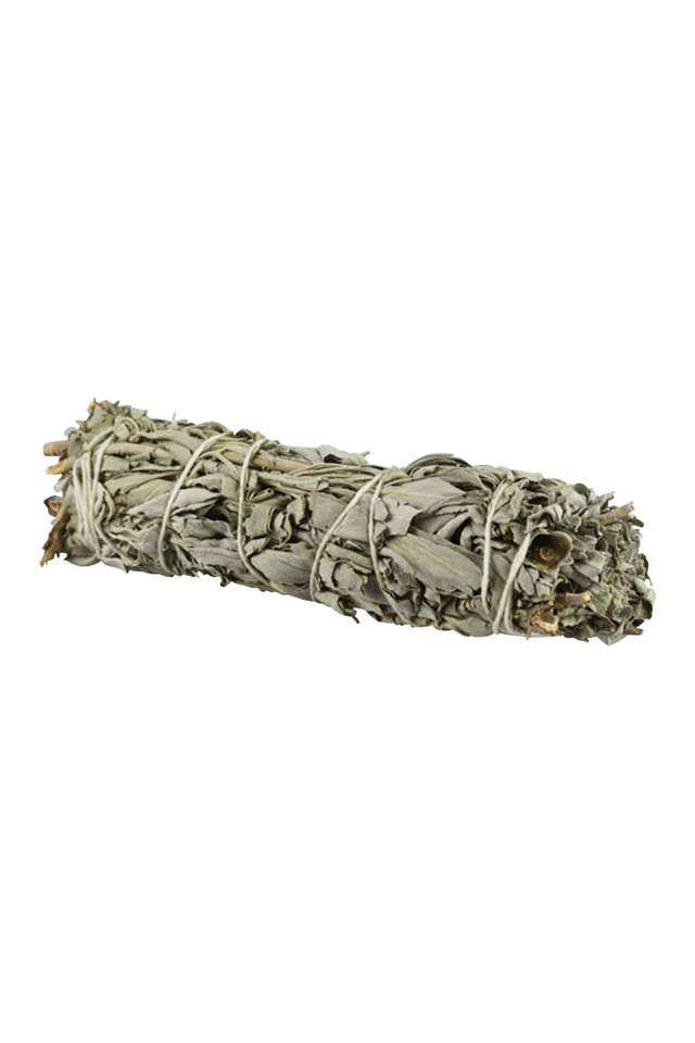 7" White Sage Incense Bundle for Aromatherapy - Front View on White Background