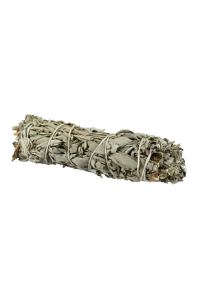7" White Sage Incense Bundle for Aromatherapy - Front View on White Background